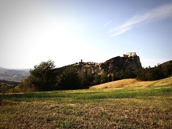 Scenic view of field against clear sky