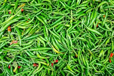 Full frame shot of green grass