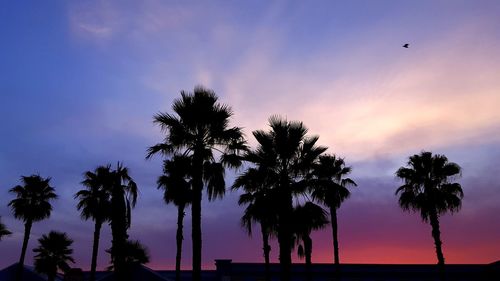 Silhouette palm trees against sky at sunset