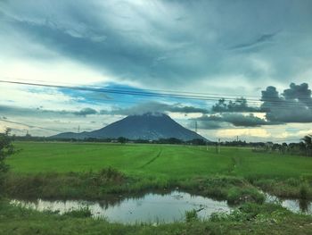 Scenic view of field by lake against sky