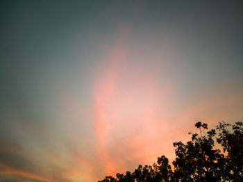 Low angle view of tree against sky during sunset