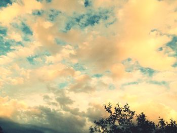 Low angle view of trees against cloudy sky