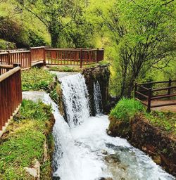 Scenic view of waterfall in forest