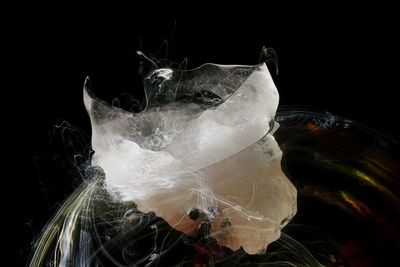 Close-up of ice crystals against black background