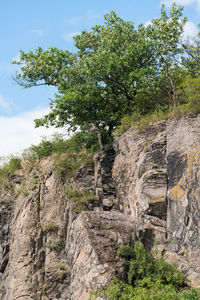 Low angle view of rock formation amidst trees against sky