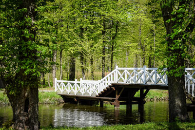 Scenic view of lake in forest