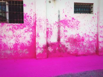 Pink flowers against built structure