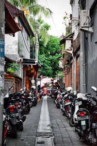 Vehicles on road along buildings