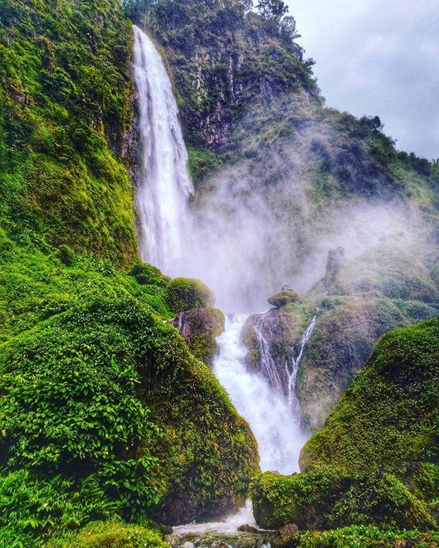 WATERFALL PASSING THROUGH A FOREST