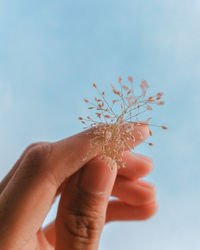 Close-up of hand holding small flower against sky