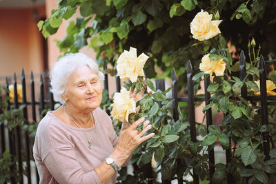 Elderly woman admiring beautiful bushes with yellow roses