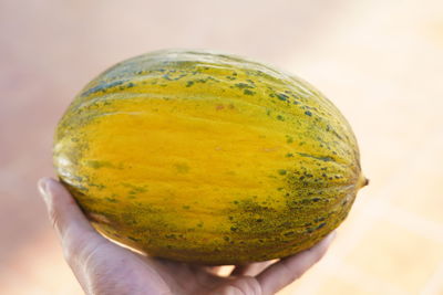 Close-up of hand holding cantaloupe melon