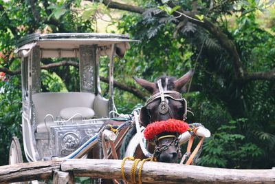 View of a horse sculpture