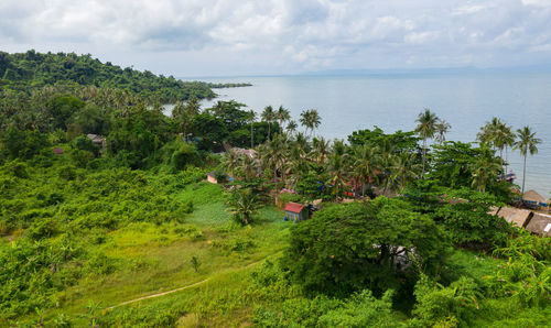 High angle view of trees and sea against sky