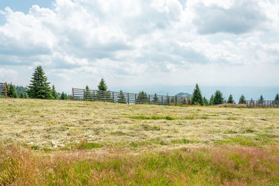 Scenic view of field against sky