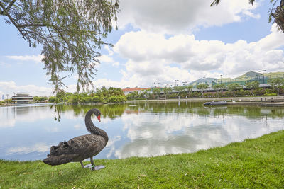 Scenic view of lake against sky