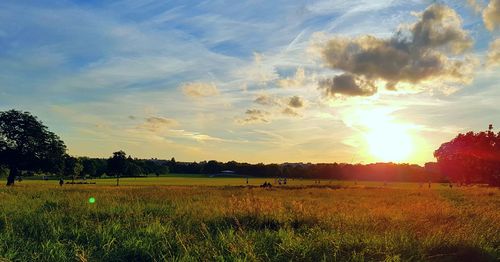 Scenic view of field against sky during sunset