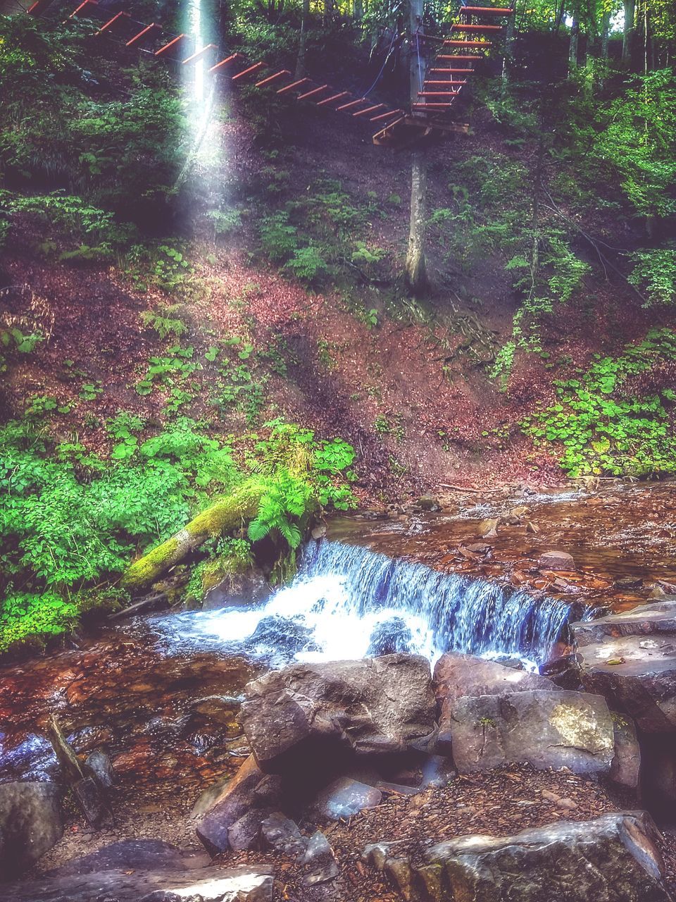 motion, day, nature, water, outdoors, forest, long exposure, no people, waterfall, beauty in nature, growth, tree