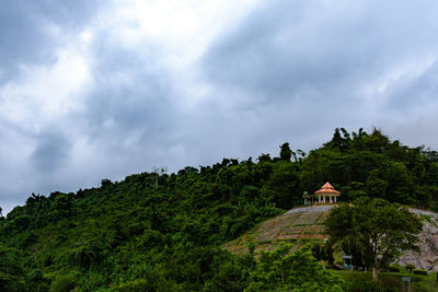 Trees by building against sky