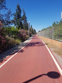Empty road along trees