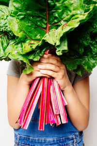 Midsection of woman holding leaves