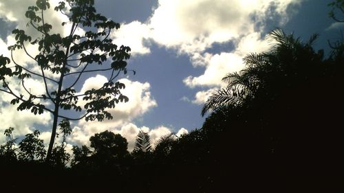 Low angle view of trees against cloudy sky