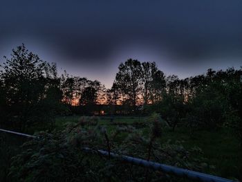 Trees on field against sky at sunset