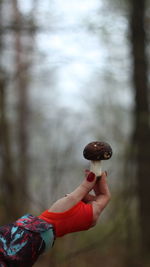 Close-up of hand holding mushorm against blurred background