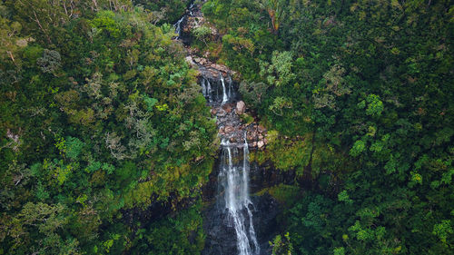 Waterfall in forest