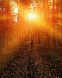 Rear view of woman walking in forest during autumn