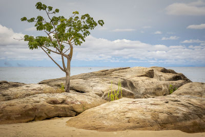 Scenic view of rocks on beach against sky