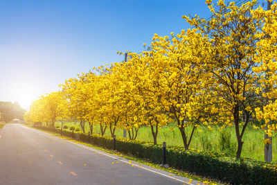 Yellow road amidst trees against sky during autumn