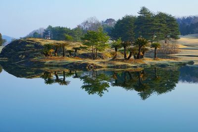 Reflection of trees in calm lake