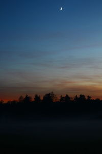 Silhouette trees against sky at night