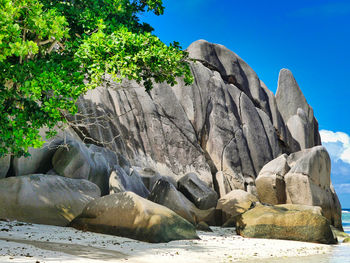 Rock formation amidst trees against sky