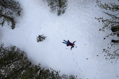 Low angle view of airplane flying against sky