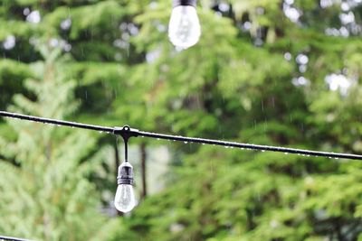 Low angle view of light bulb