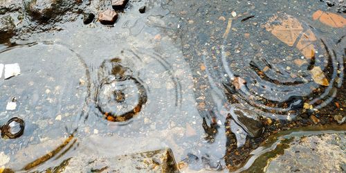 Full frame shot of wet shore