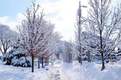 Bare trees on snow covered land against sky