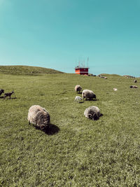 Scenic view of farm against sky