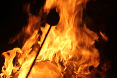 Close-up of bonfire at night