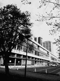 Trees in city against sky