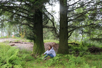 Man sitting on tree trunk in forest