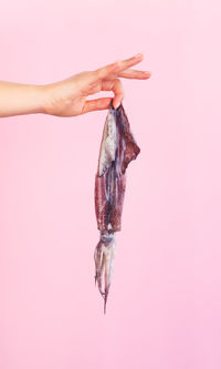 Midsection of person holding fish against gray background