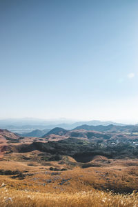 Scenic view of field against clear blue sky