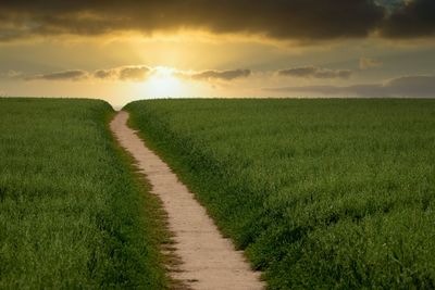 Scenic view of field against sky during sunrise 