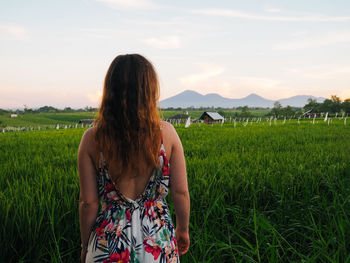 Rear view of woman standing in rice field against sky during sunrise