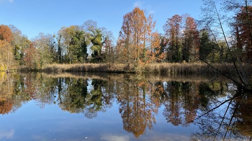 Reflection of trees in lake against sky