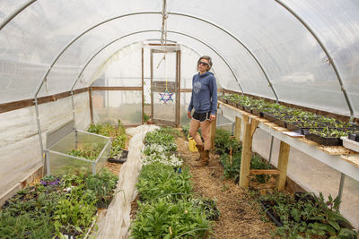 Full length of woman standing in greenhouse