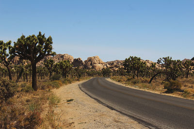 Road amidst trees against clear sky